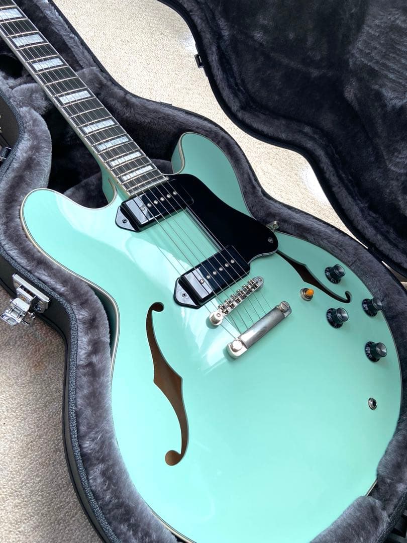 Seventyseven Exrubato Zebra Finch セミアコ