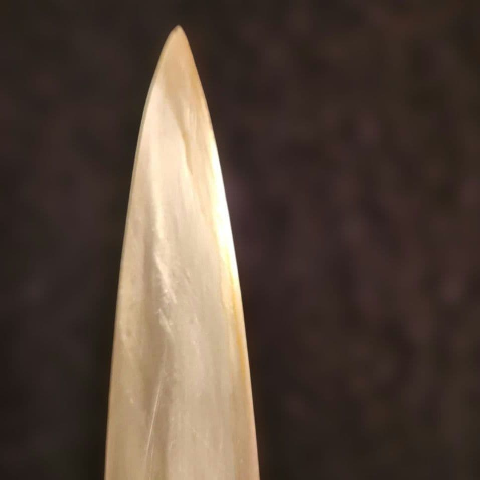 柳刃包丁 木製ハンドル カバー付き　【極上登録卍正忠請合】