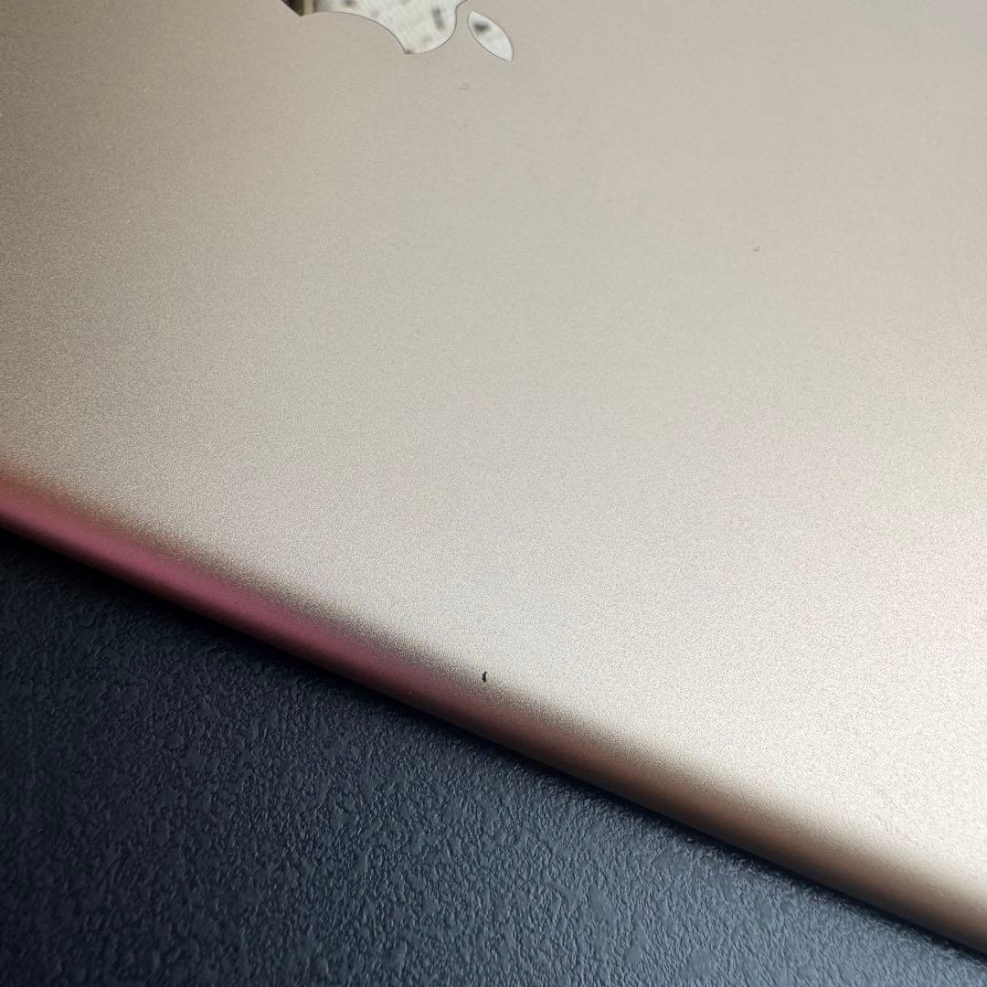 匿名発送 iPad Air2 16GB Wi-Fi Cellular オマケ付