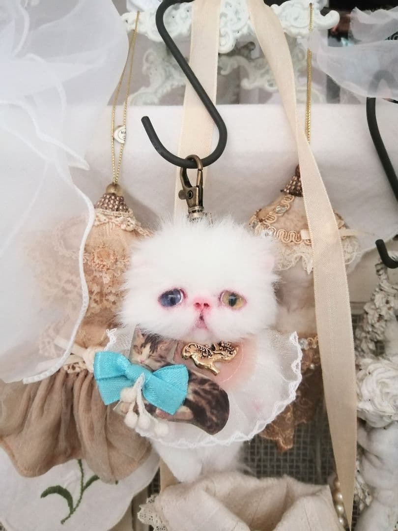 かちょぱ㌨✿様御予約❤️オッドアイの双子ちゃん♡ミニミニ子猫ちゃん♡エキゾ♡