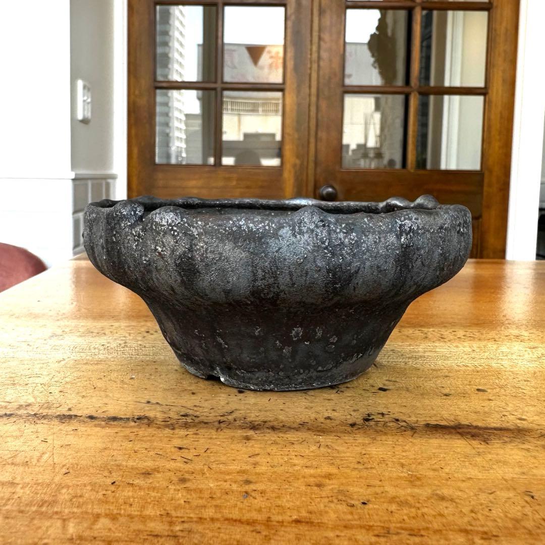 【激レア】　細川政己　鉢　浅鉢　グラキリス