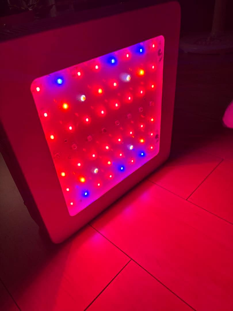 REAL LEDグロウライト 56個搭載