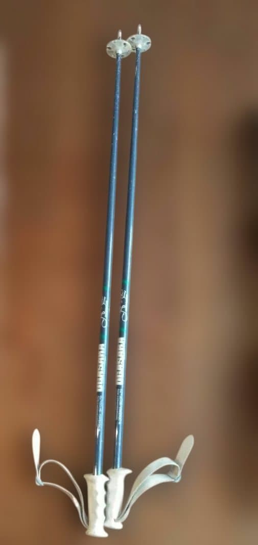 HEADショートスキーボード 　　　　　　BIG EASY ポール付