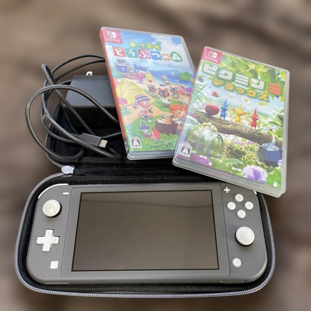 Nintendo Switch Lite + ソフト2本 + 充電器+ケース