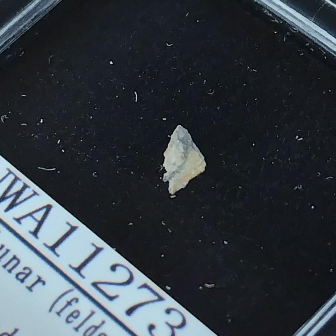 ＊月の石＊　月から来たＮＷＡ11273隕石標本
