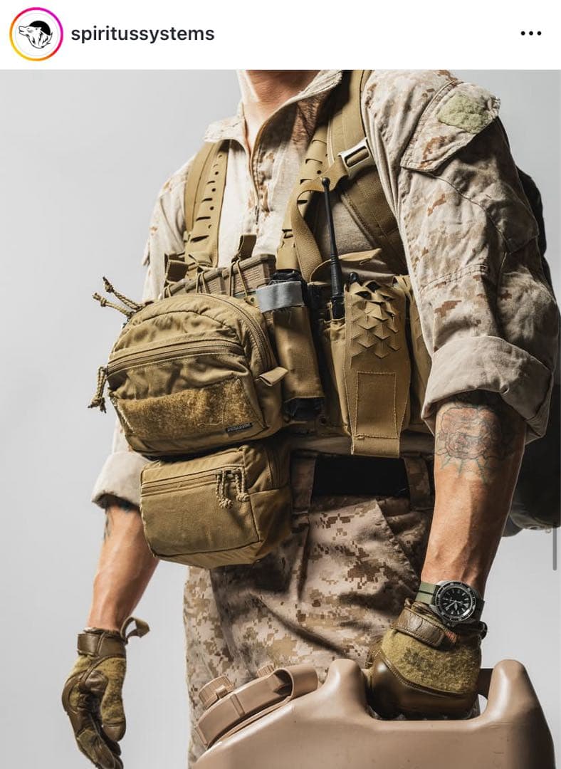 Spiritus Systems　SPUD ポーチ　RG