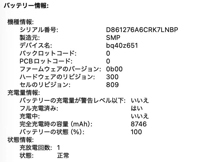 MacBook Pro 16㌅ Ci7 6Core・32GB バッテリー◎