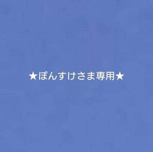 ★ぽんすけさま専用★パラコードリード&首輪