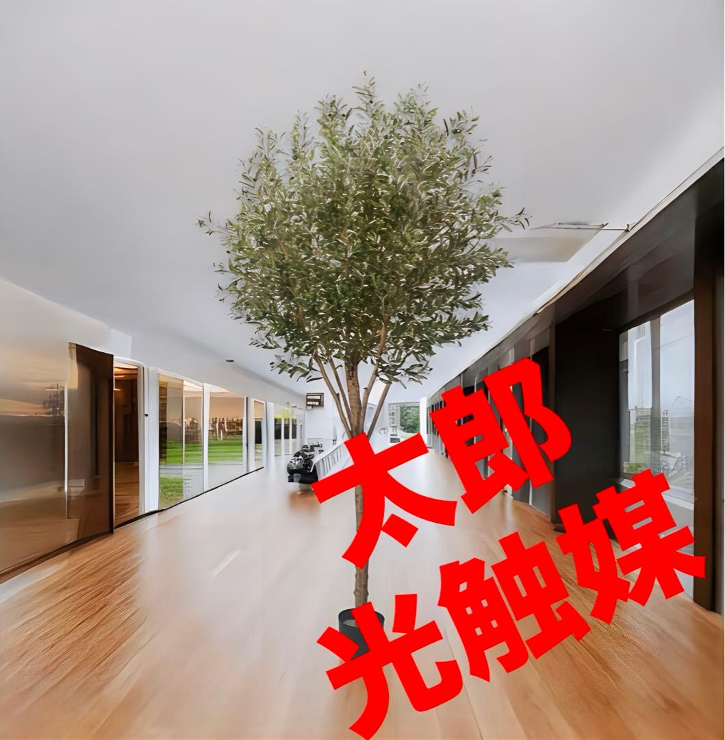 光触媒　人工観葉植物　ウォールグリーン　フェイクグリーン　オリーブ240