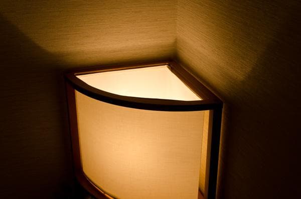 【新品・送料無料】棚付フロアライト　コーナー　DBR/LBR