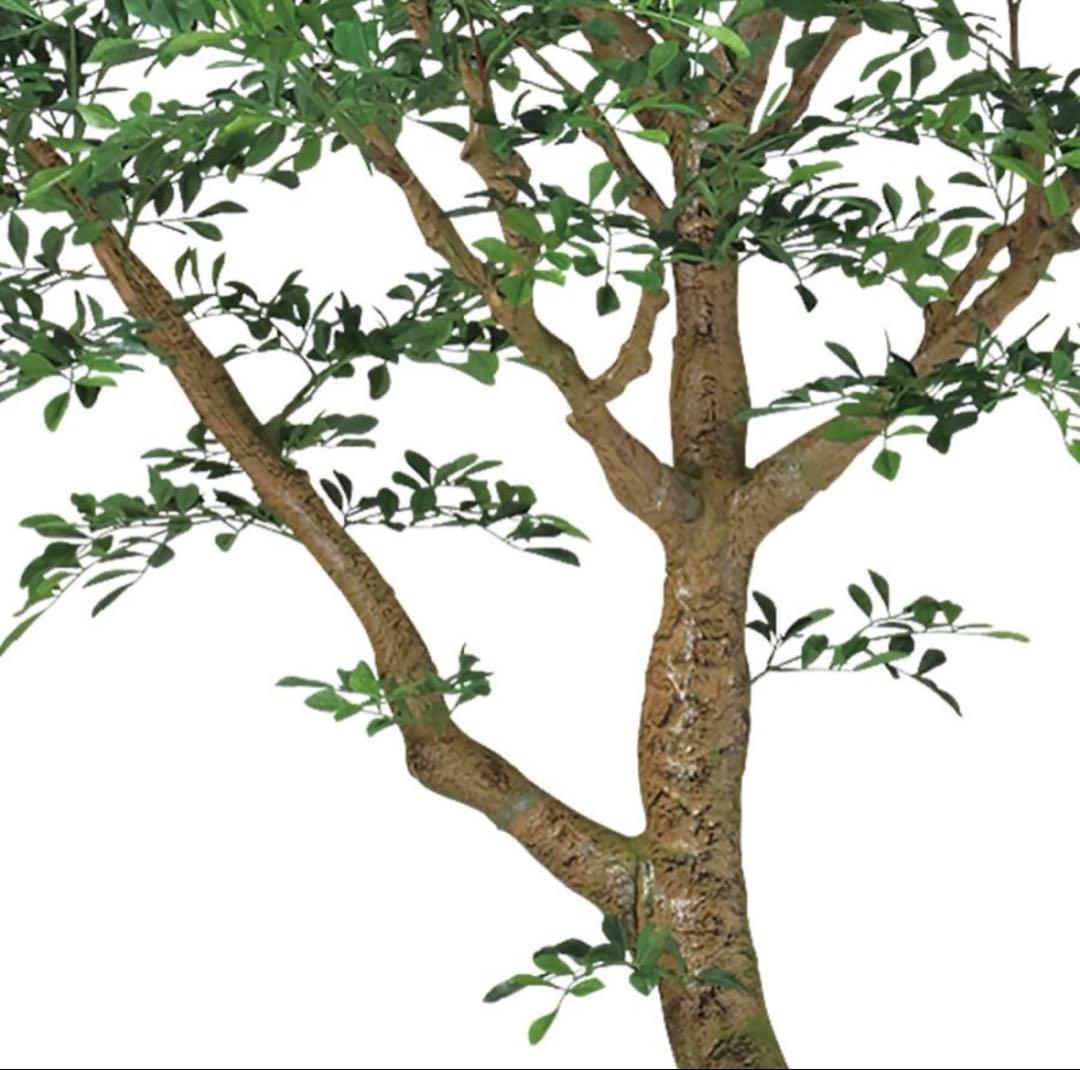 光触媒　人工観葉植物　ウォールグリーン　フェイクグリーン　トネリココアッド鉢付き