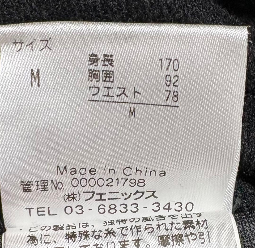 ♦︎良品♦︎フェニックスphenix スキーウェア　スノボウェア　メンズ　M