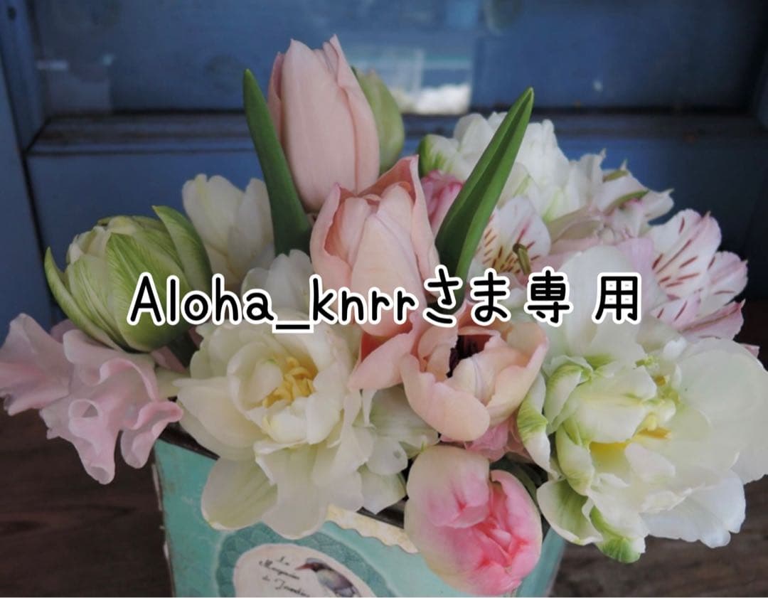 Aloha_knrrさま専用