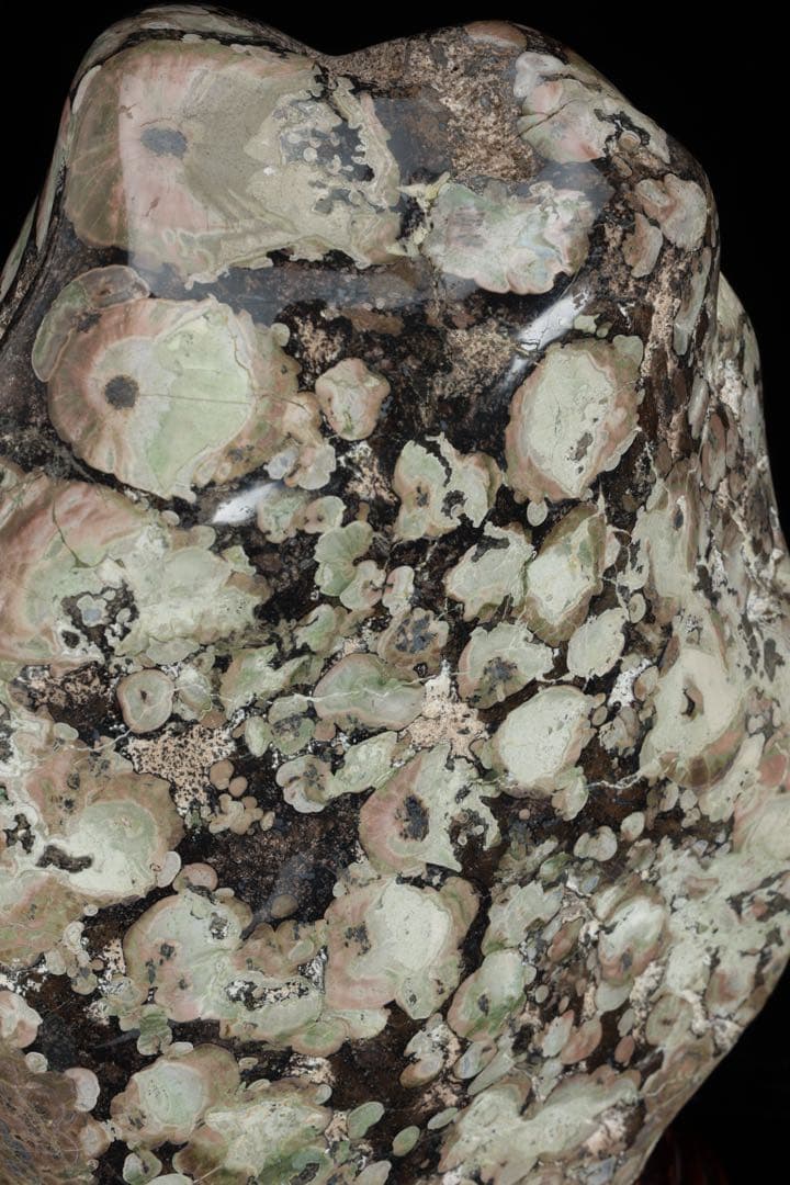 紅梅 梅花石 台付 12.1kg 鑑賞石 自然石 水石 原石 天然石 盆石 飾石