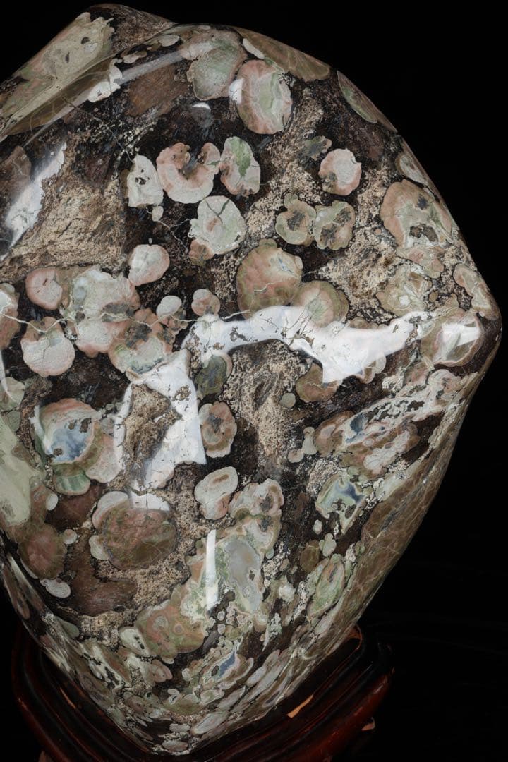 紅梅 梅花石 台付 12.1kg 鑑賞石 自然石 水石 原石 天然石 盆石 飾石