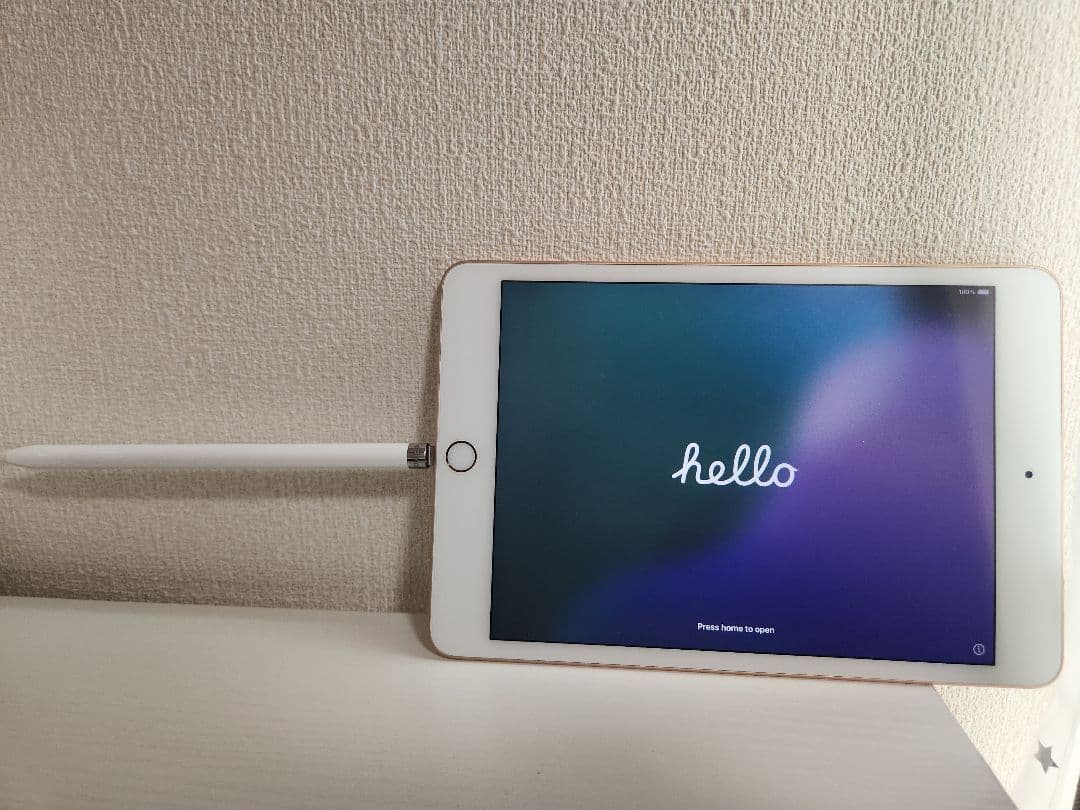 【限定値下げ】iPad mini 5＋Apple Pencil第1世代