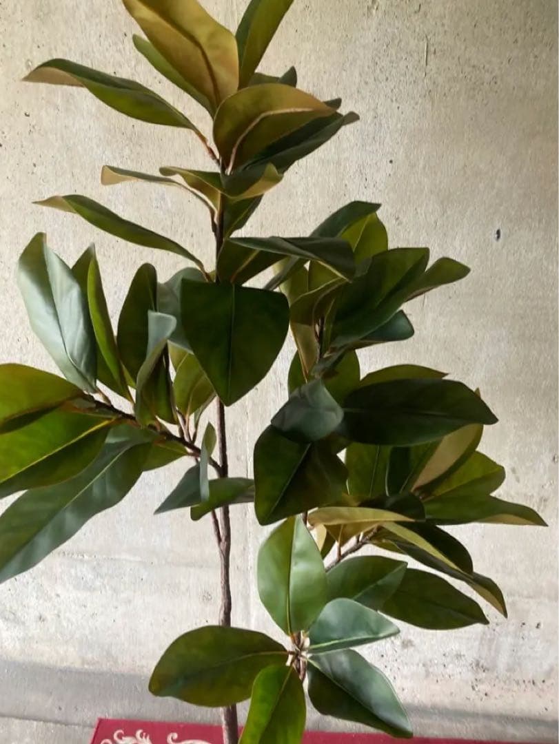 光触媒　人工観葉植物　ウォールグリーン　フェイクグリーン　マグノリアツリー15