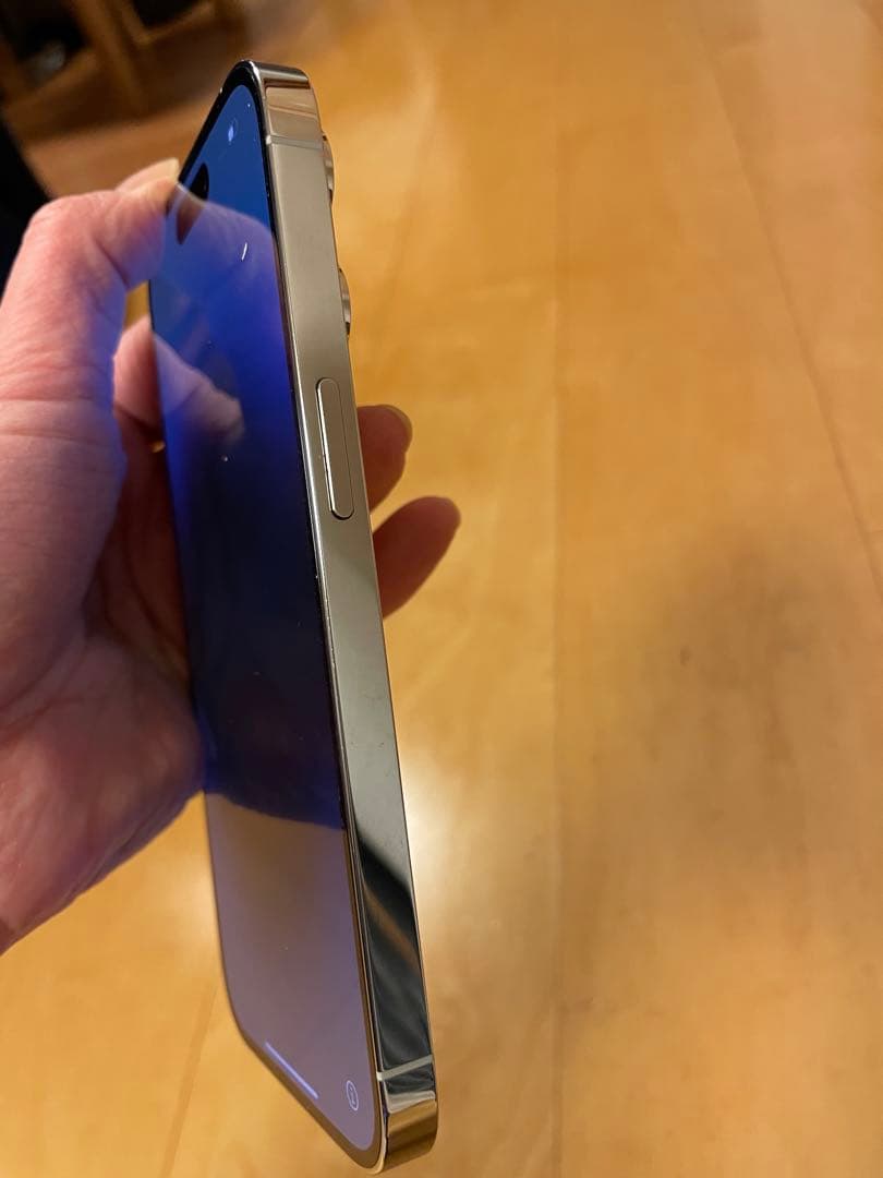 Apple iPhone 14 Proシルバー本体