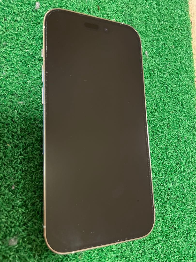 Apple iPhone 14 Proシルバー本体