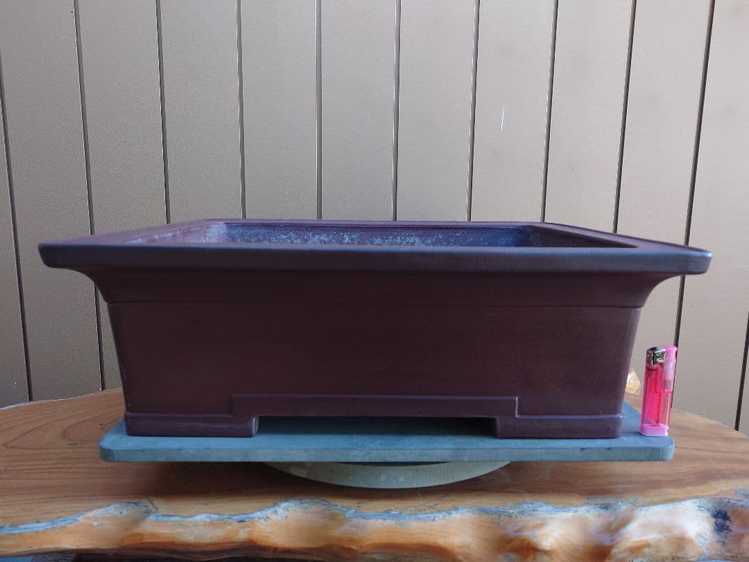 盆栽　鉢　佳山　幅52.3cm