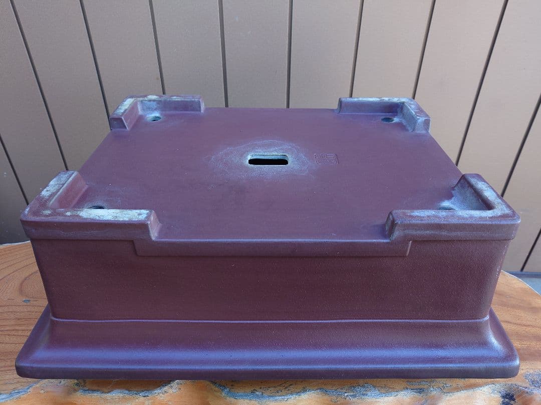 盆栽　鉢　佳山　幅52.3cm