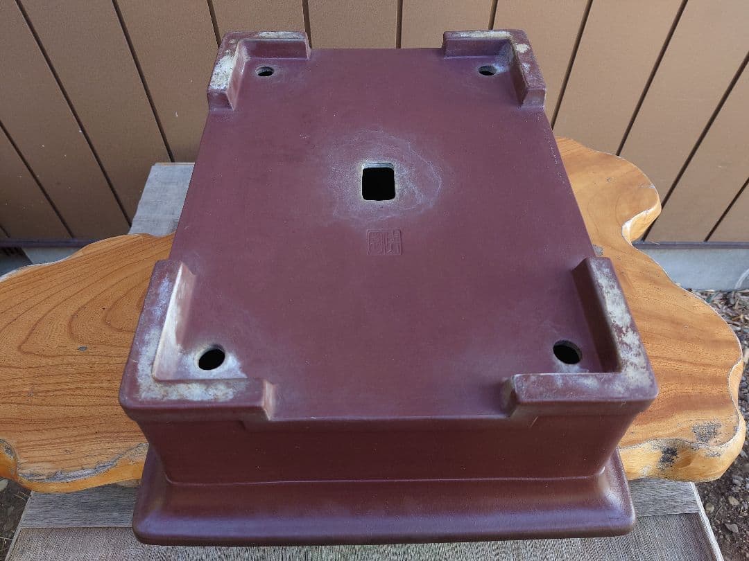 盆栽　鉢　佳山　幅52.3cm