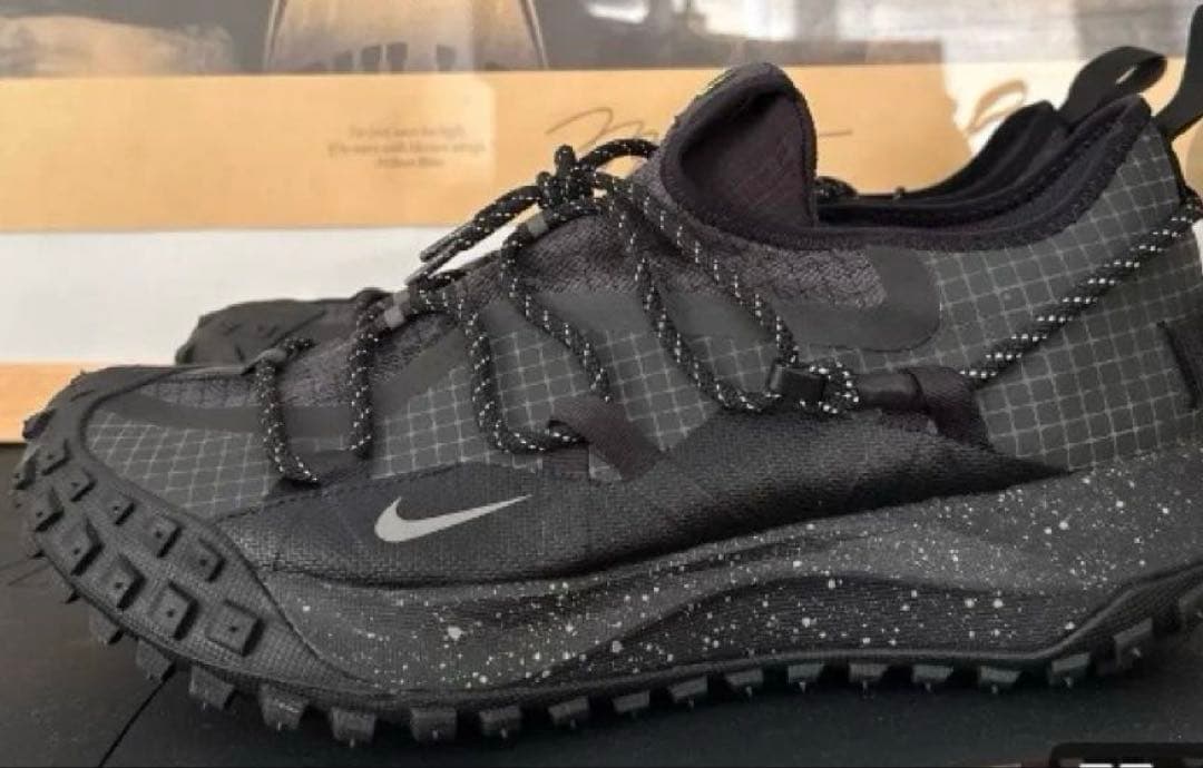 靴 NIKE ACG MOUNTAIN FLY LOW GTX SE 29.0