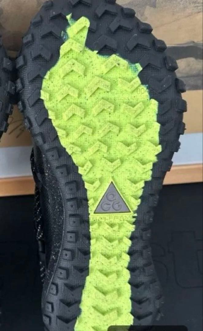 靴 NIKE ACG MOUNTAIN FLY LOW GTX SE 29.0