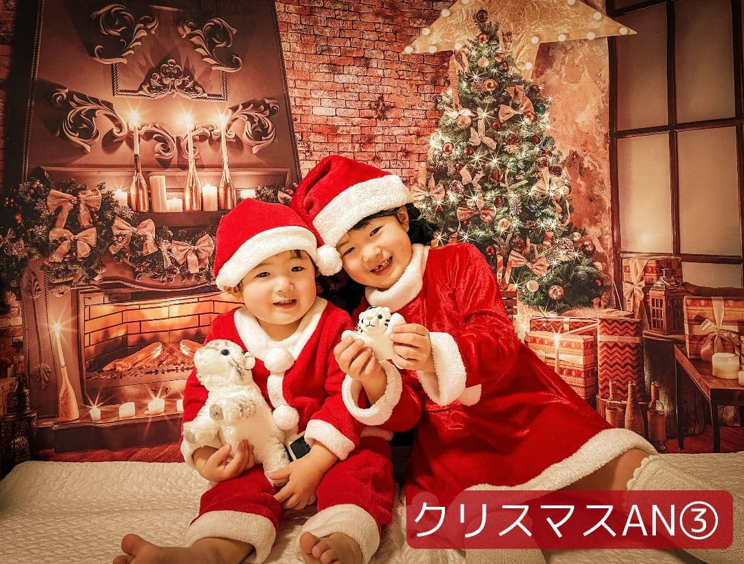 背景布×10枚+2　ペット撮影用ブース　トリミングチョーカー販売中　お正月、春