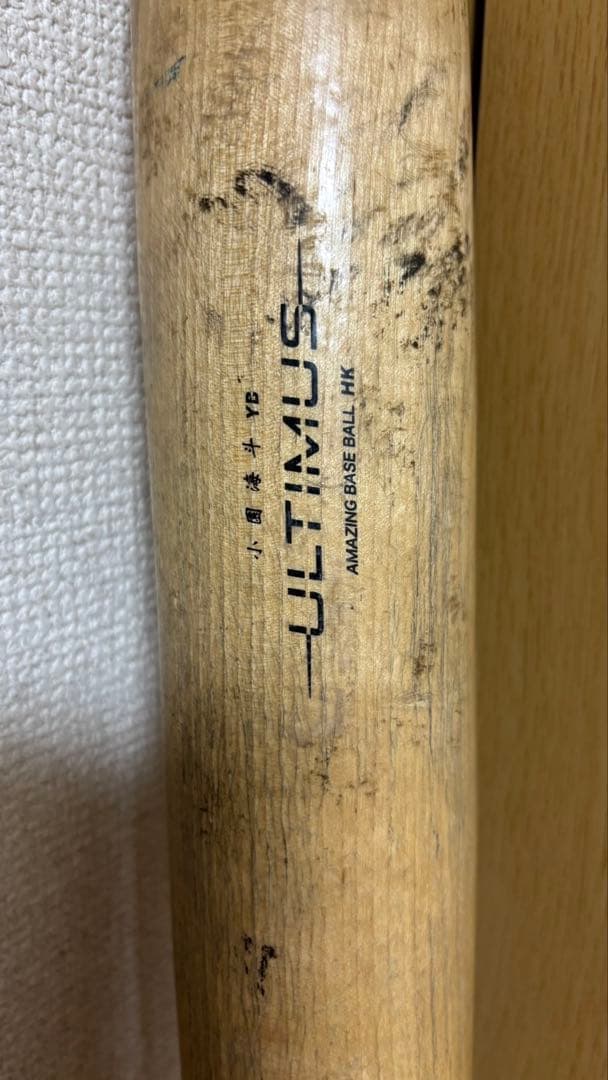 小園海斗実使用バット