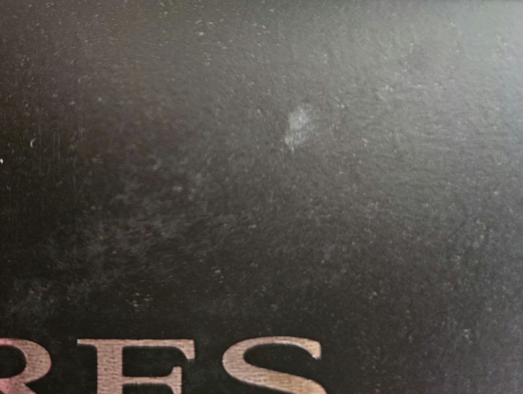 25 アンタレス 101HG左ハンドル