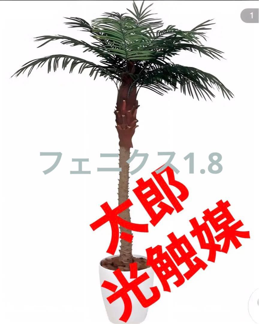 光触媒　人工観葉植物　ウォールグリーン　フェイクグリーン　フェニックス1.8m