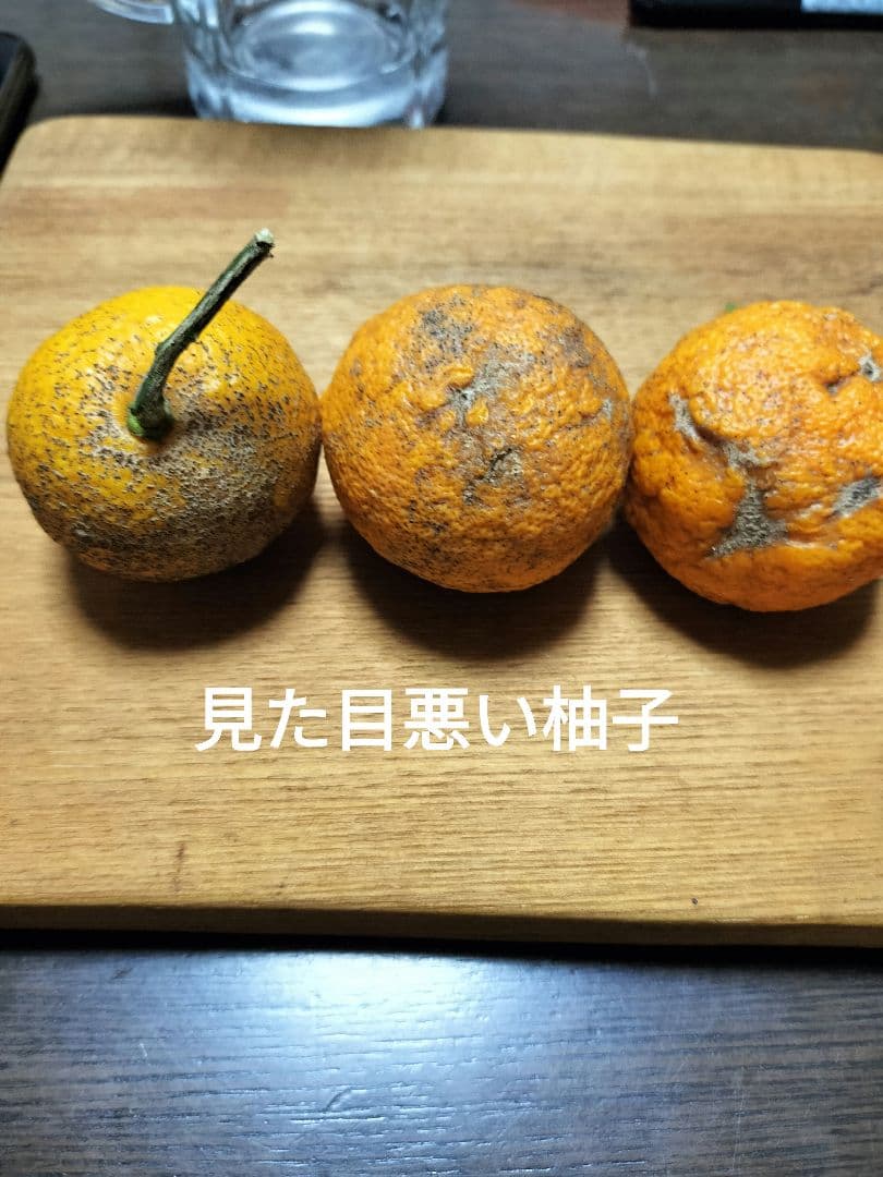 実生本柚子　10㌔　訳あり