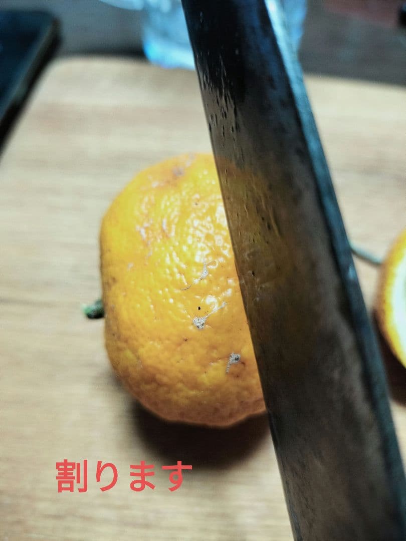 実生本柚子　10㌔　訳あり