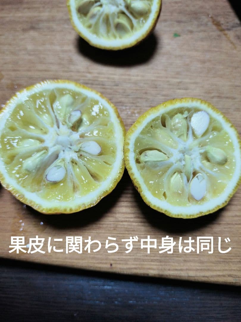 実生本柚子　10㌔　訳あり