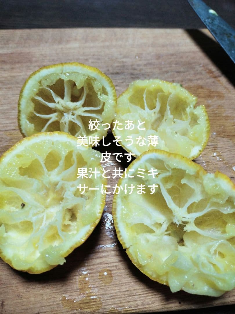 実生本柚子　10㌔　訳あり