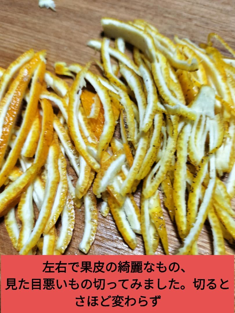 実生本柚子　10㌔　訳あり