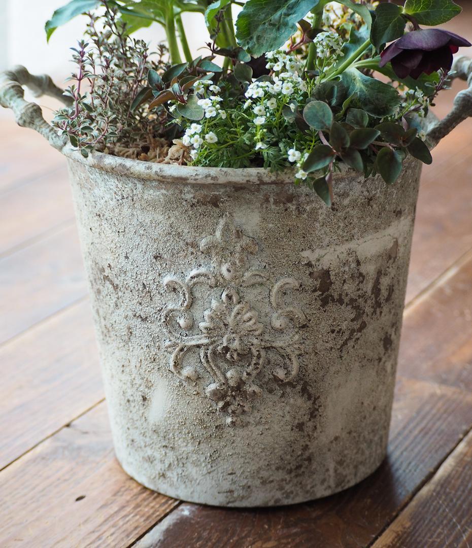 【最終お値下】クリスマスローズのシックな寄せ植え