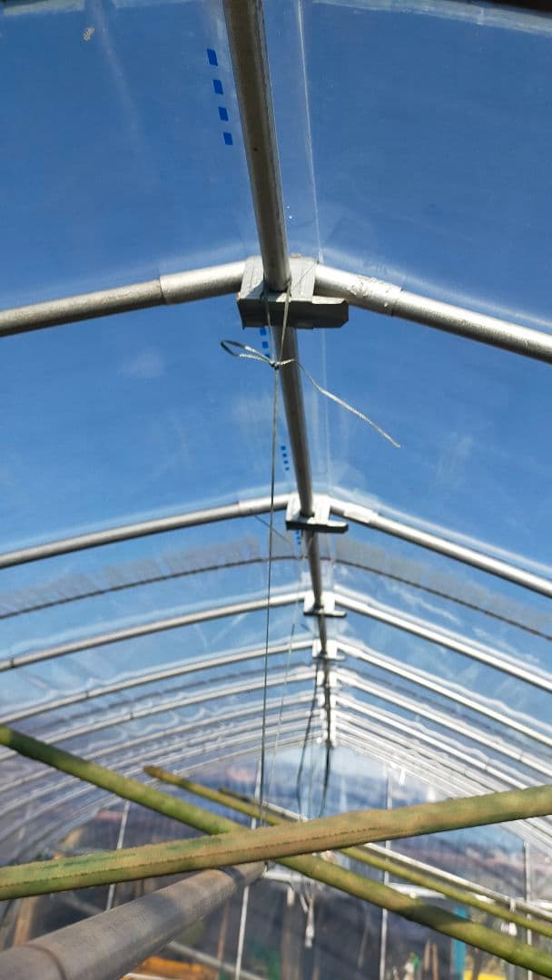 農業用ビニールハウス 3.6mx5.4m、両側巻上げ窓付き