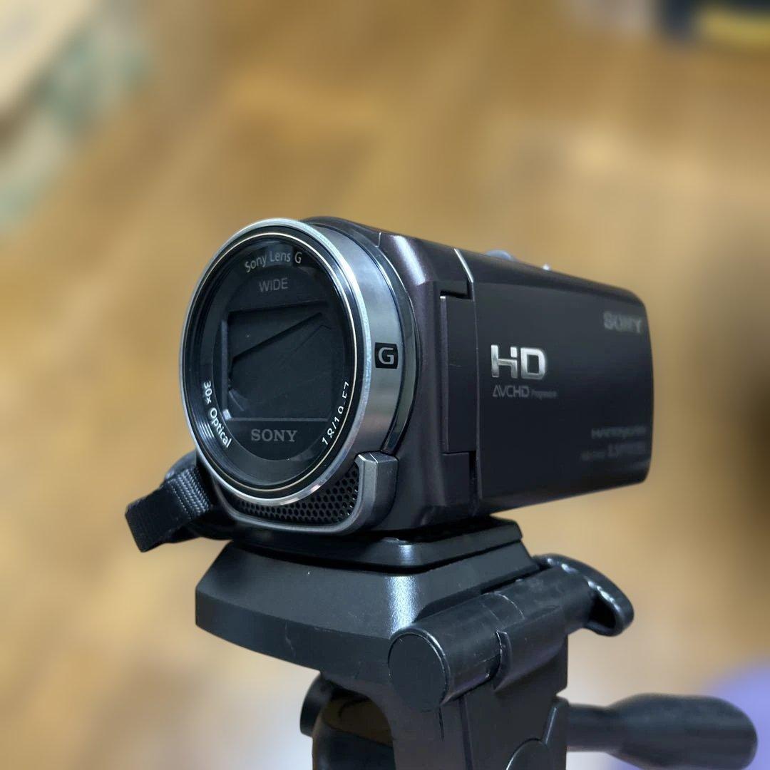 ソニーハンディカムHDR-CX430