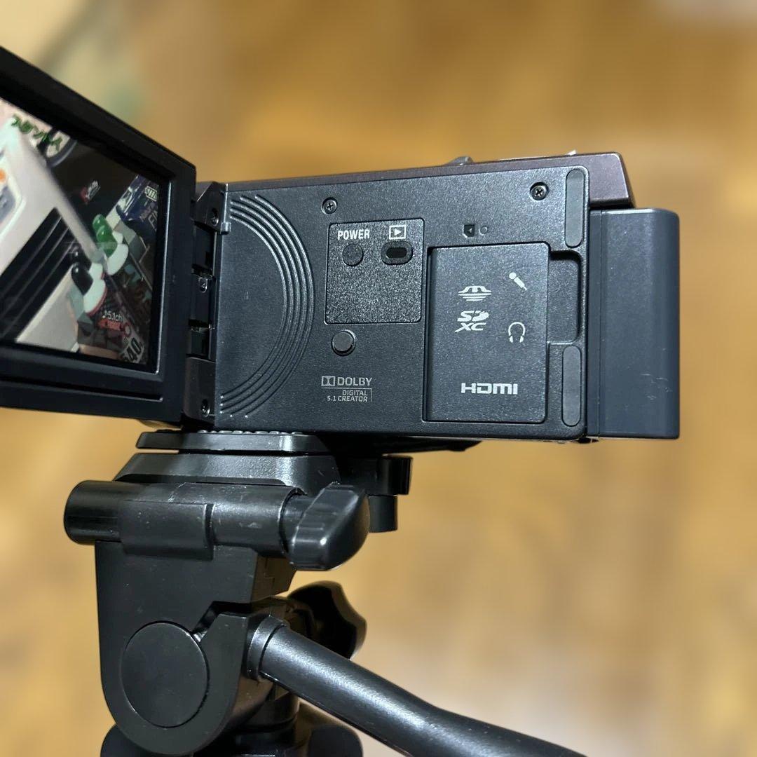 ソニーハンディカムHDR-CX430