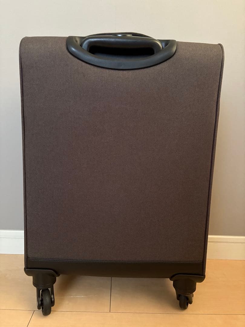 スーツケースace. RockPaint-SS ヘザーブラック 31L