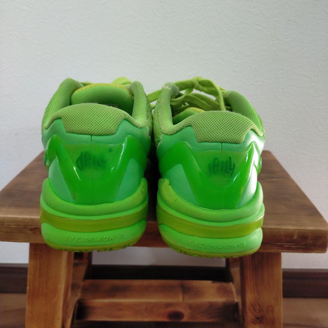 PEAK DELLY 1 ピーク　デリー1 US9 27cm