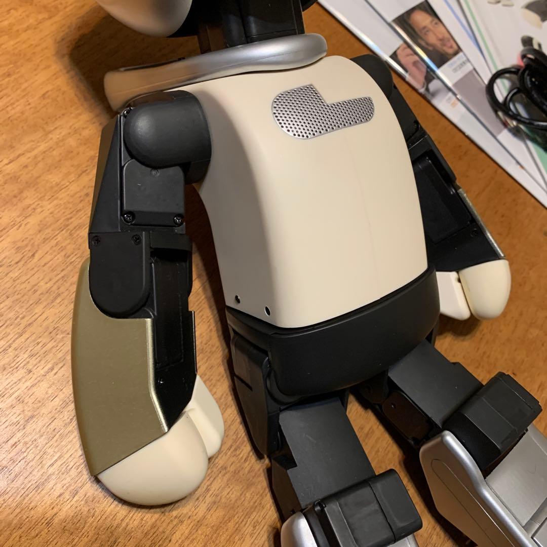 し*じ様 ロビ (ココロ2DX版)バッテリー不要、外部電源完動品　オーナー愛称登