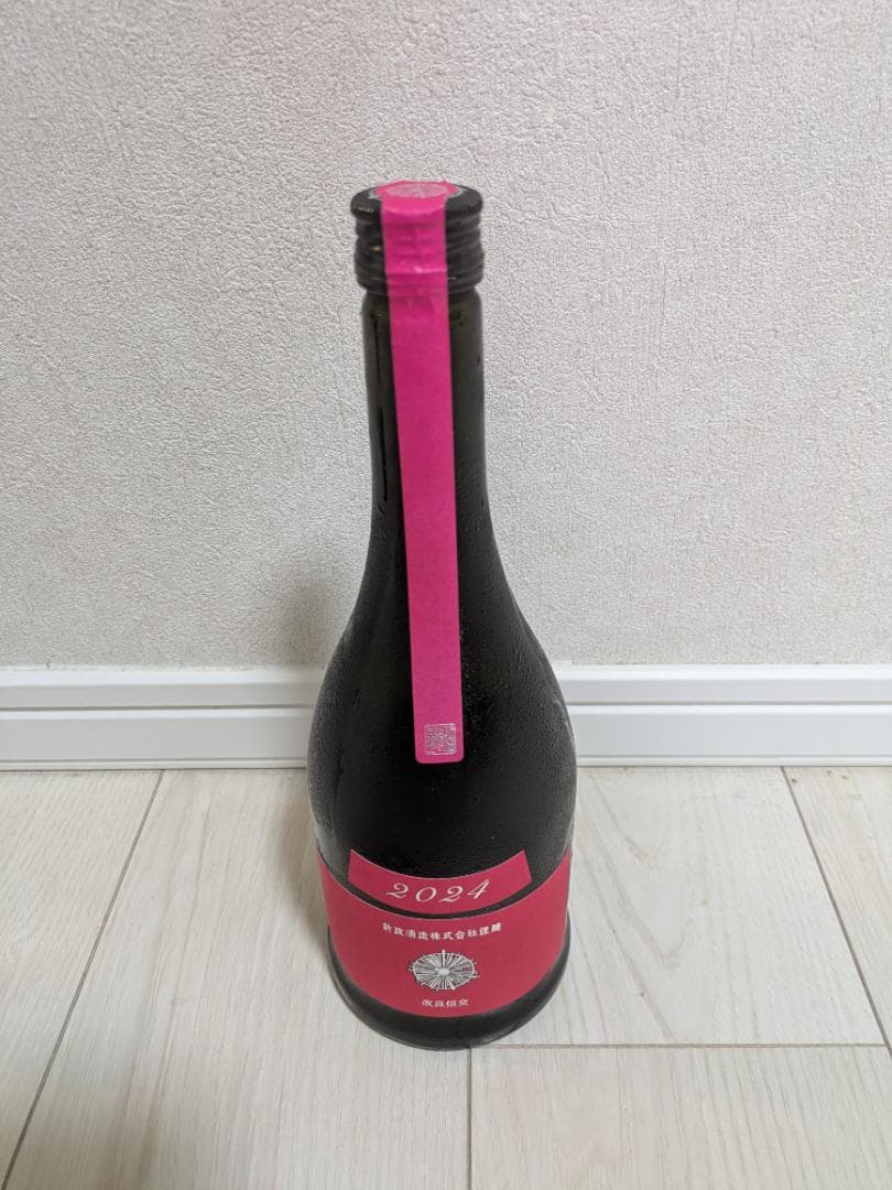 新政　コスモス　2024年