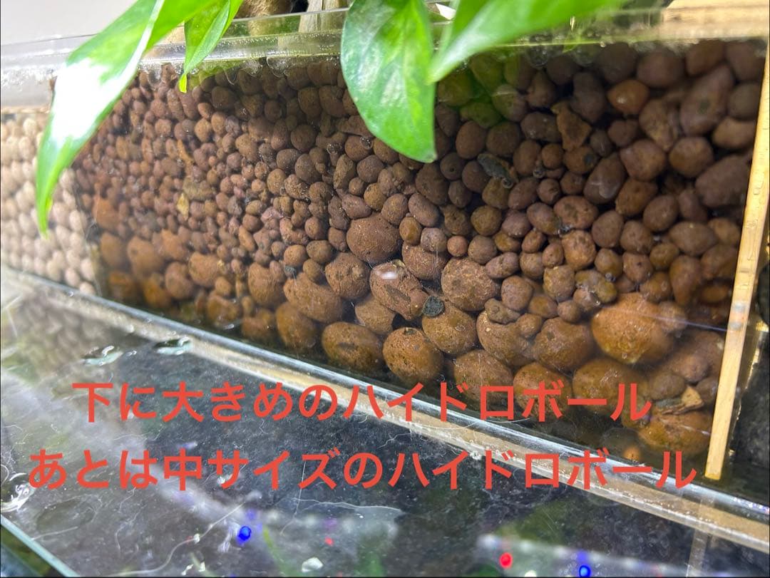 【訳あり】60㎝水槽用　上部濾過式アクアリウム水槽アクアポニックス仕様A
