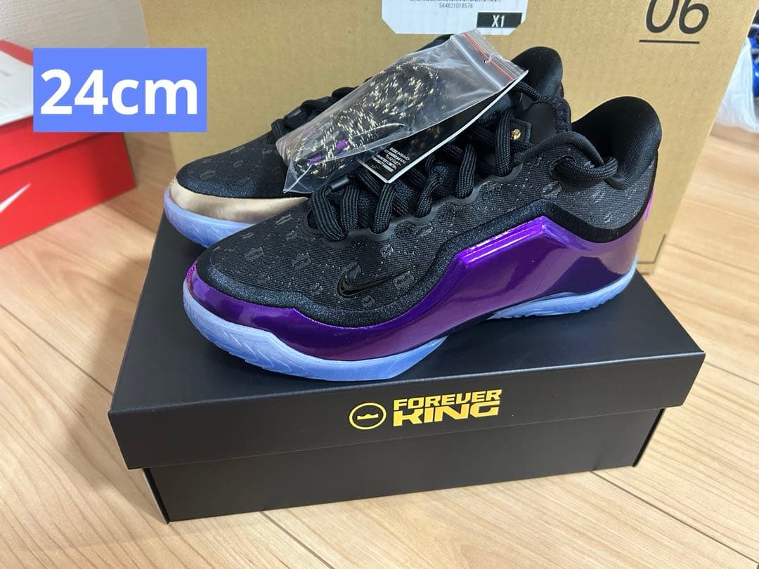 レブロン23 GS限定カラー　レア