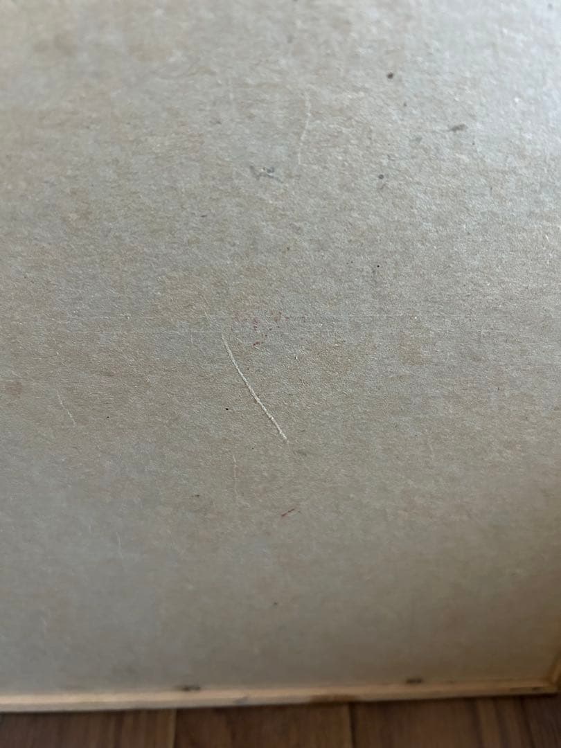 $100,000 REWARD! THE MURDERER リバティベルサルーン