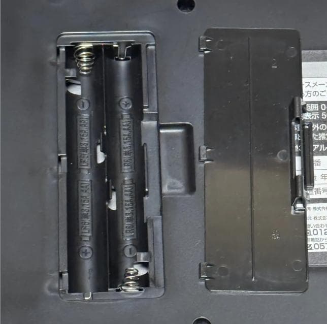 【送料無料】【即日発送】TANITA RD-800 体組成計　ブラック