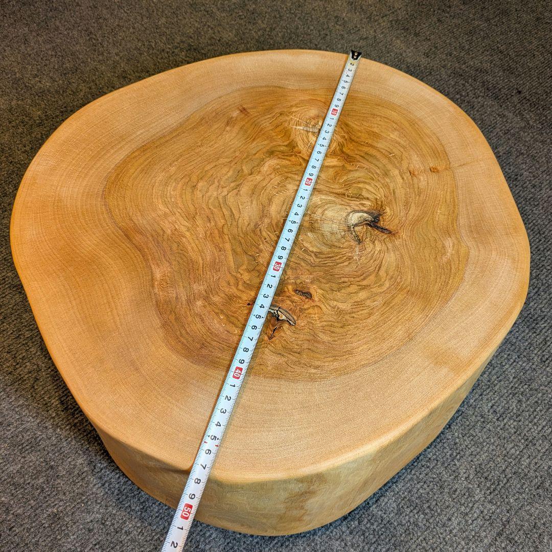 オールド　ウダイカンバ　切り株　輪切り　高さ約15㎝